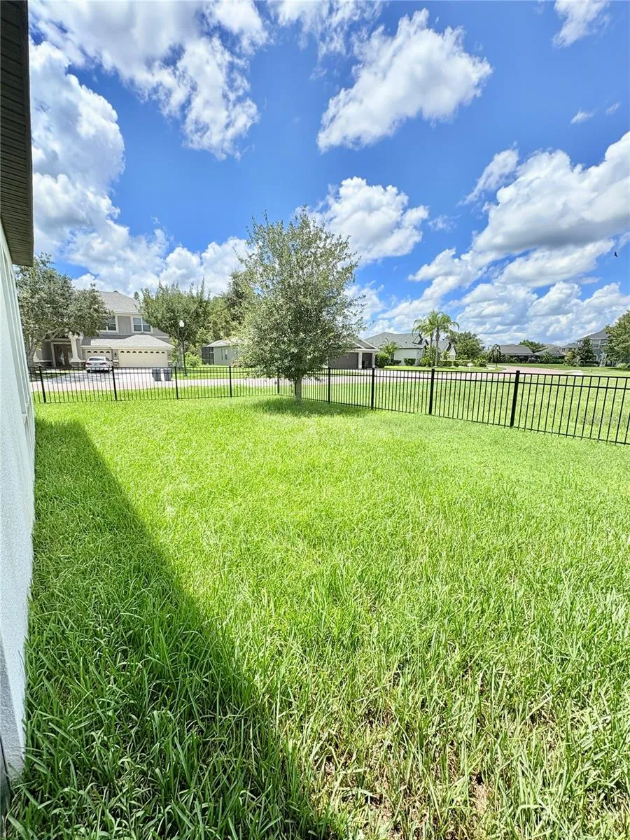 4645 BUTLER NATIONAL DRIVE Wesley Chapel, FL 33543