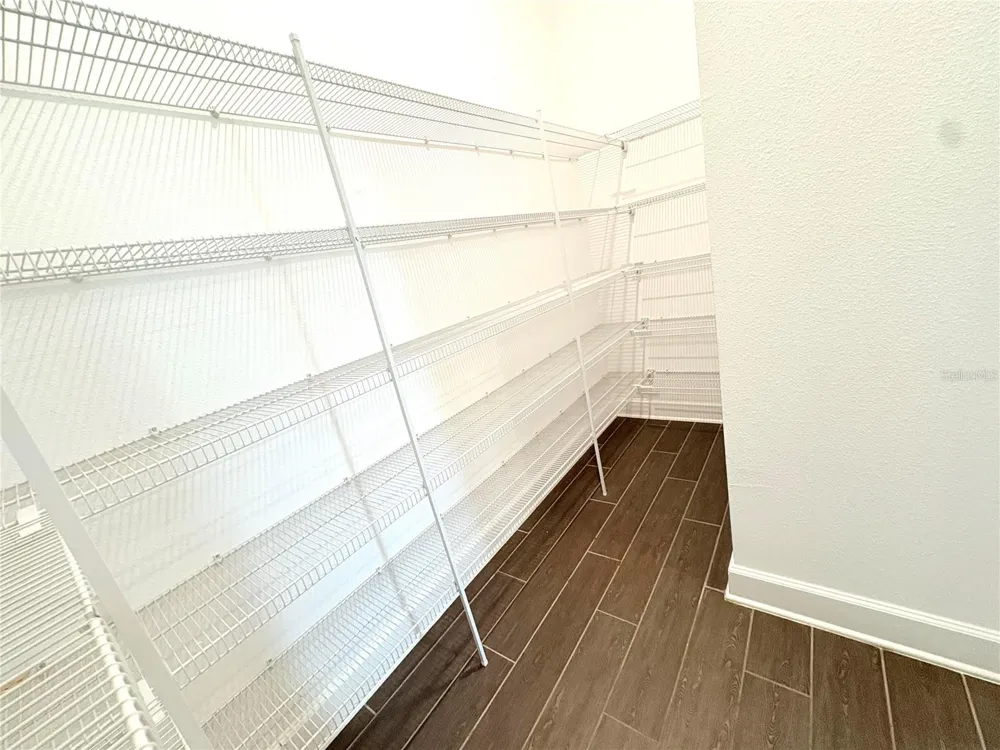4645 BUTLER NATIONAL DRIVE Wesley Chapel, FL 33543