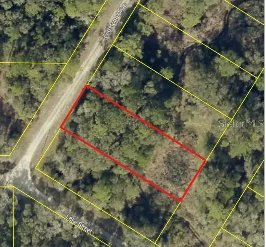 0 BEDSTONE DRIVE Webster, FL 33597