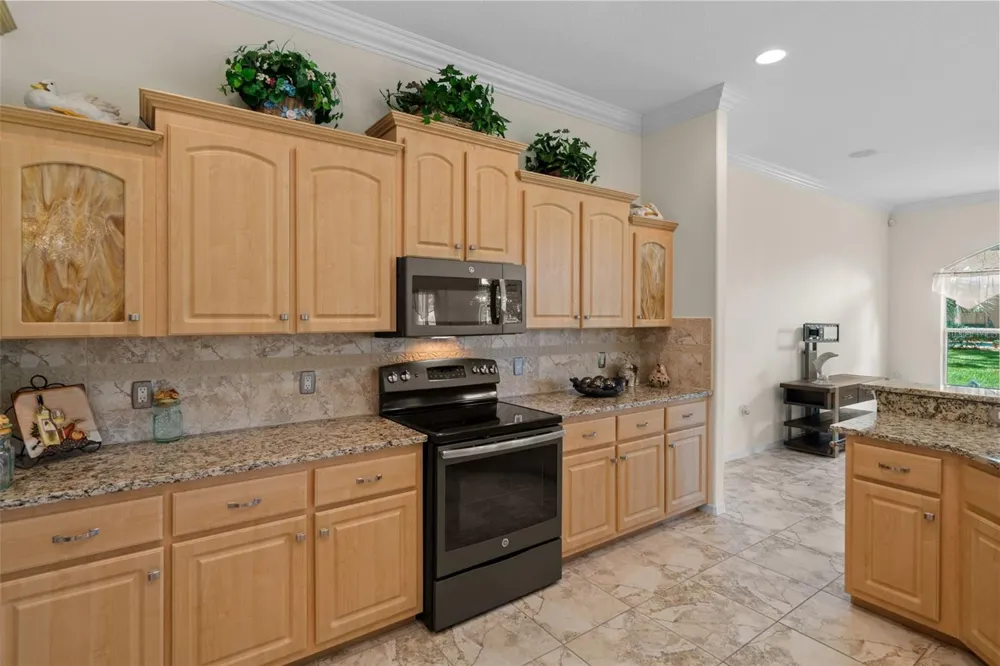 13417 WHITEHAVEN COURT Spring Hill, FL 34609