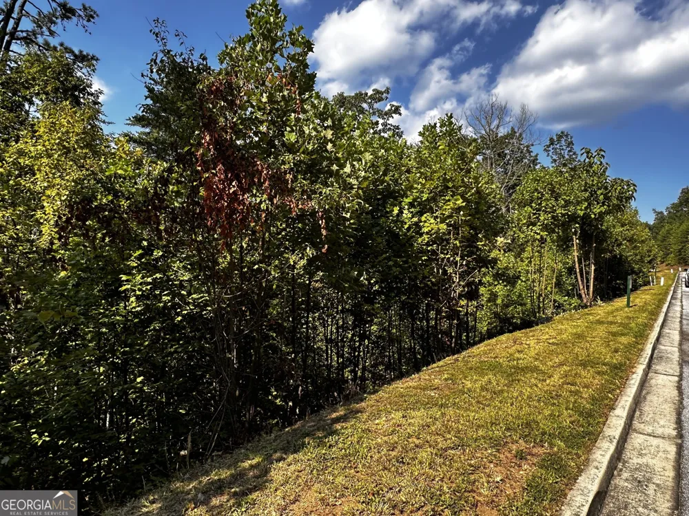 LOT J-12 Winterberry TRL Clayton, GA 30525