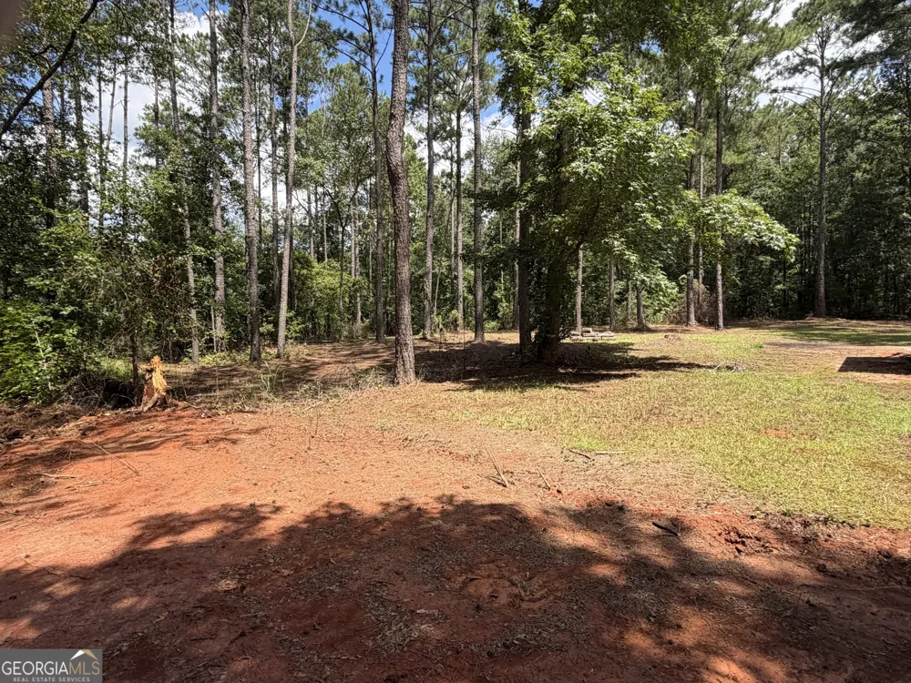 335 Harvey CIR Ellaville, GA 31806
