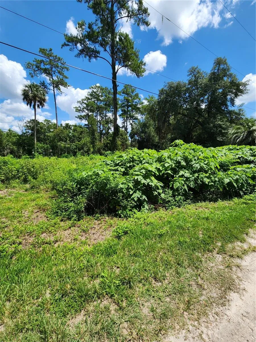 5231 SE 25TH AVENUE ocala, FL 34480