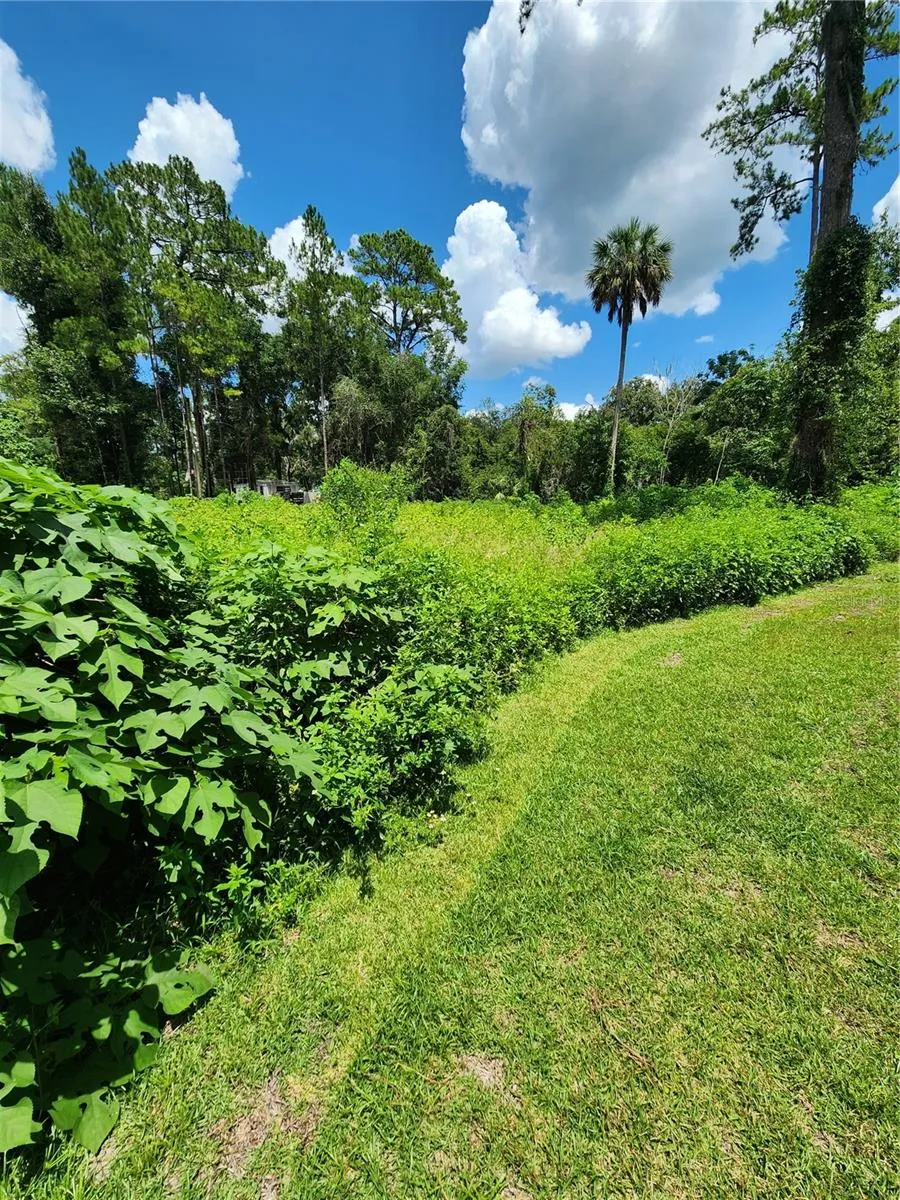 5231 SE 25TH AVENUE ocala, FL 34480
