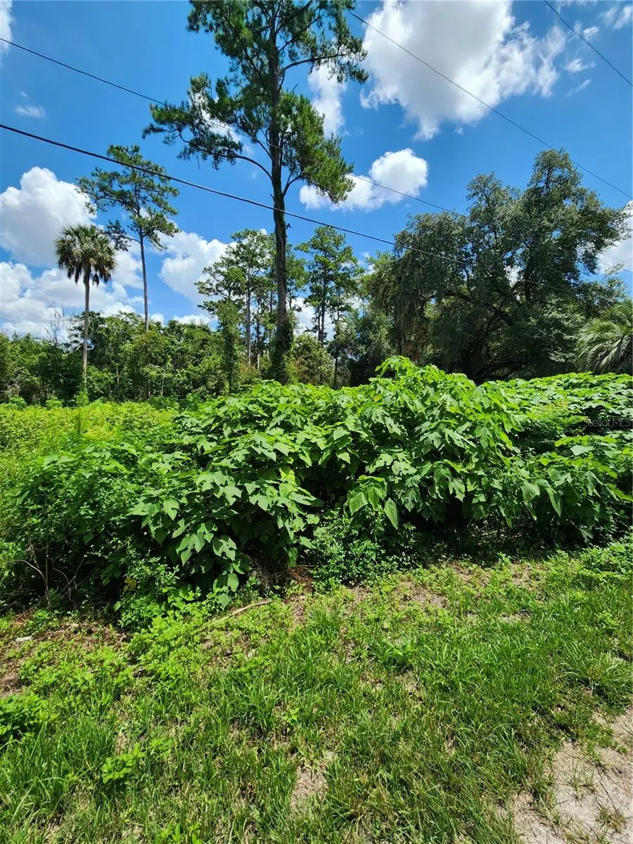 5231 SE 25TH AVENUE ocala, FL 34480