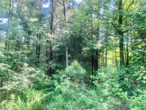Doe Lane