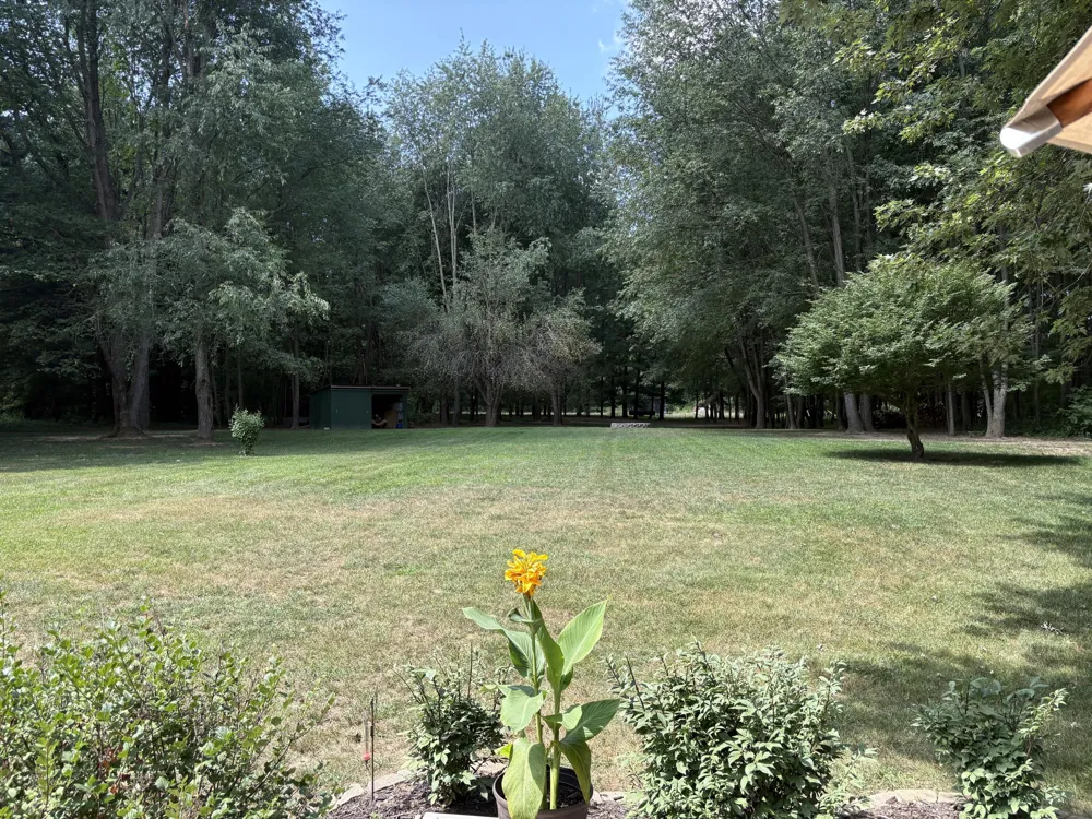 4729 Kenowa Avenue SW Jamestown Charter Township, MI 49418
