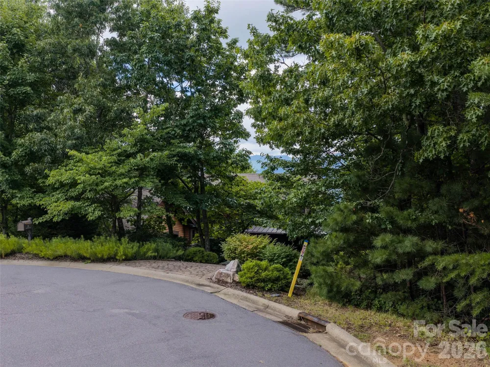15 Panther Gap Road #116 Black Mountain, NC 28711