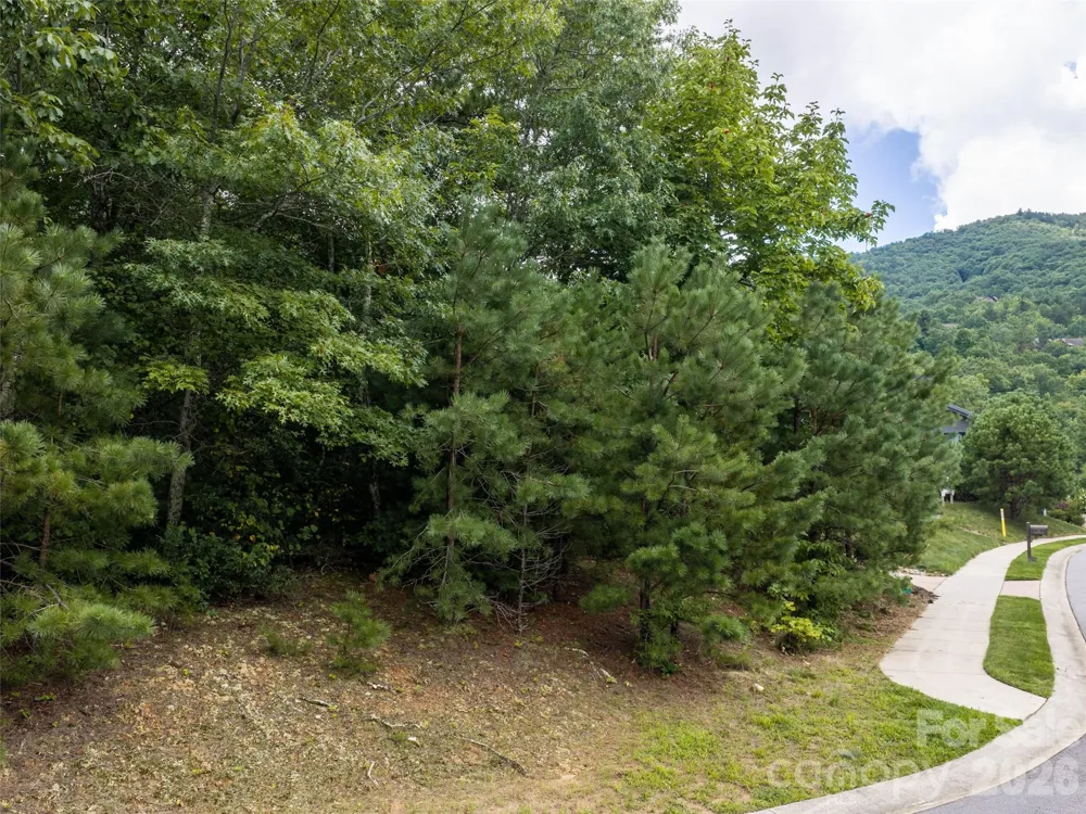 15 Panther Gap Road #116 Black Mountain, NC 28711
