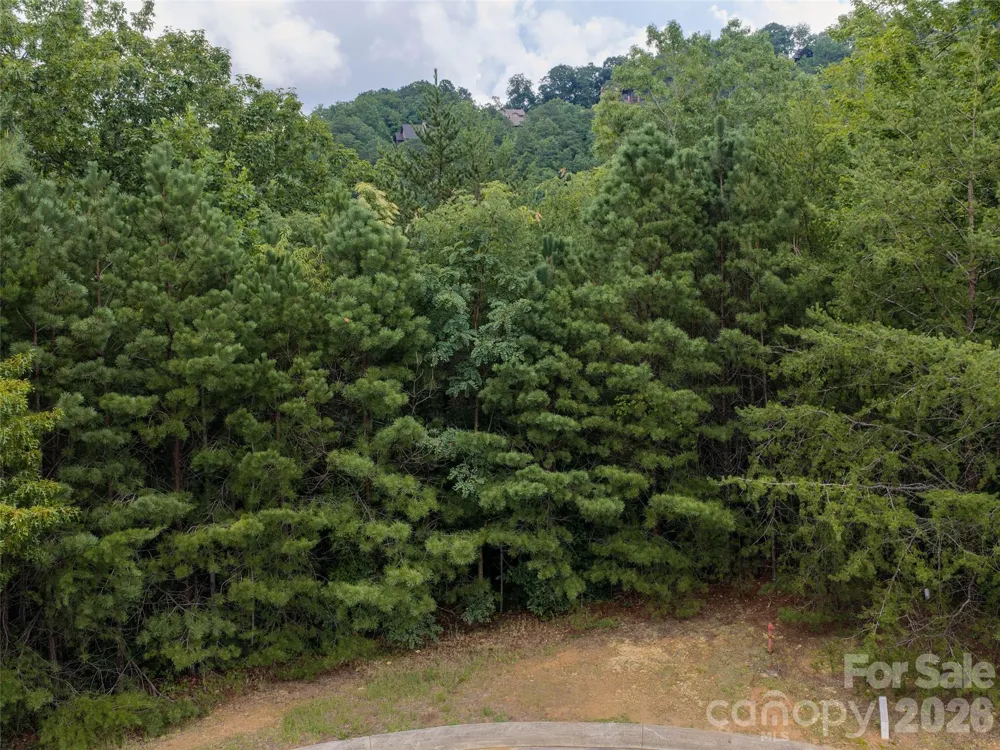 15 Panther Gap Road #116 Black Mountain, NC 28711