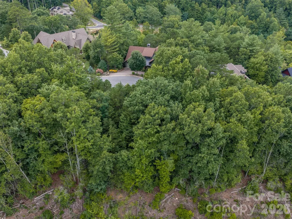 15 Panther Gap Road #116 Black Mountain, NC 28711