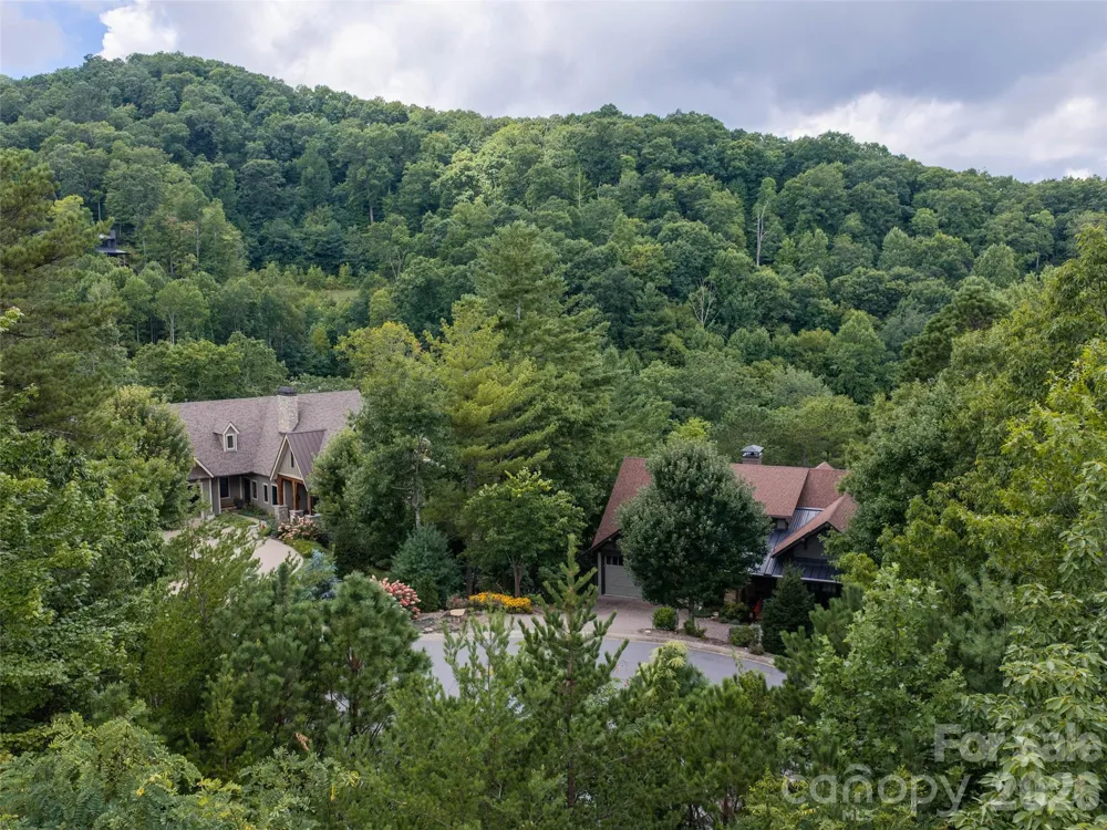 15 Panther Gap Road #116 Black Mountain, NC 28711