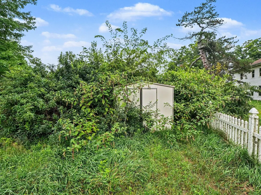 8857 Beeman Road Chelsea, MI 48118
