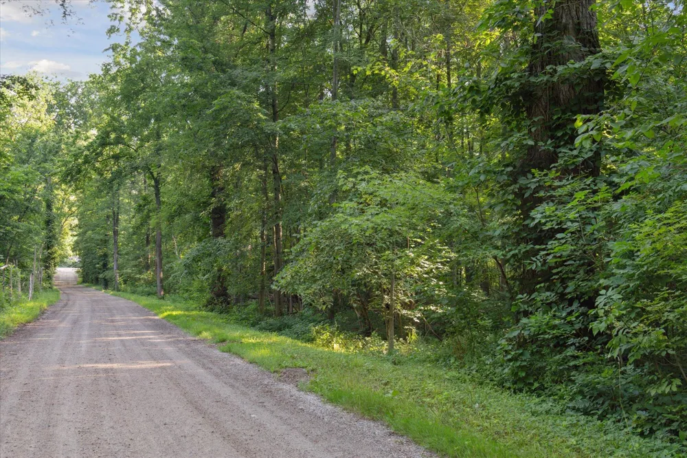 5904 West River Drive NE Belmont, MI 49306