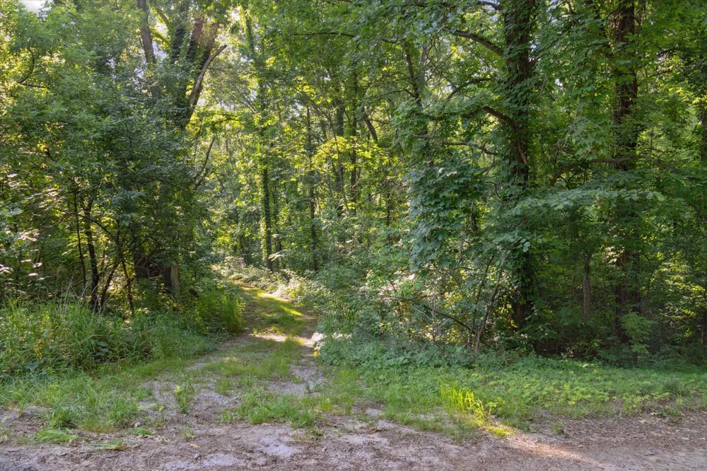 5904 West River Drive NE Belmont, MI 49306
