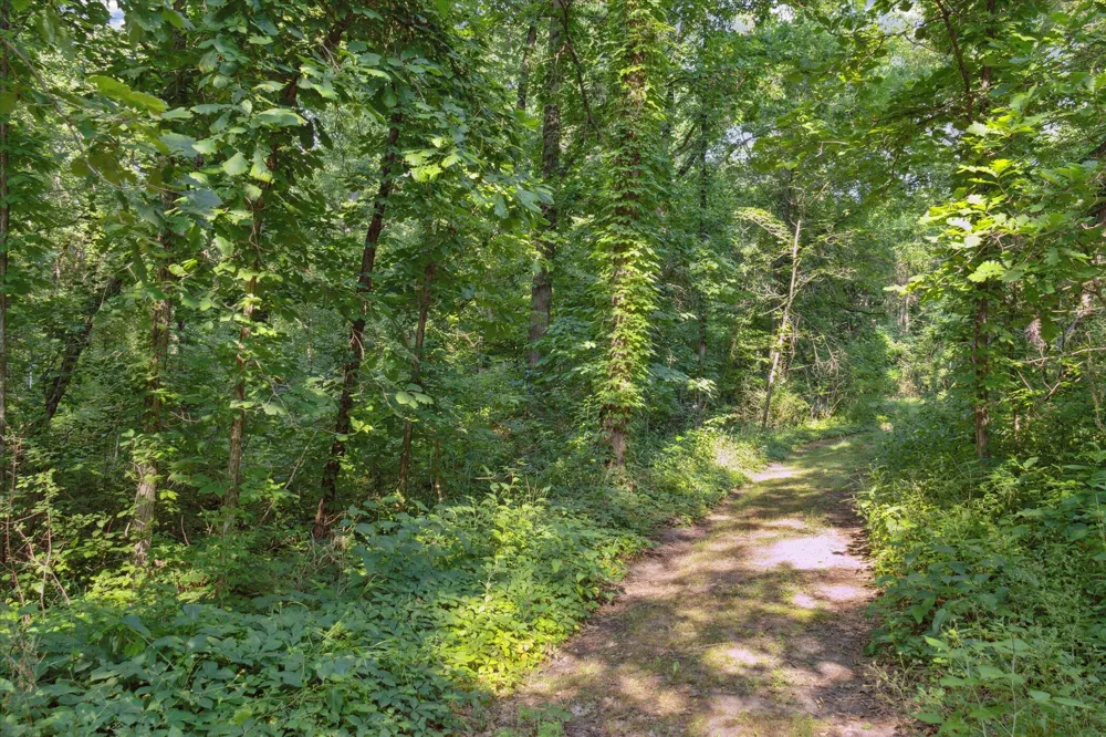 5904 West River Drive NE Belmont, MI 49306