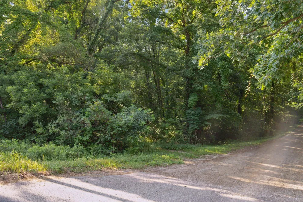 5904 West River Drive NE Belmont, MI 49306