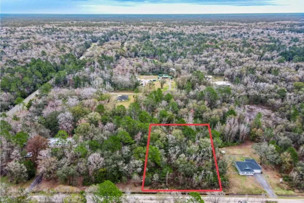 10230 WEATHERBY AVENUE Hastings, FL 32145