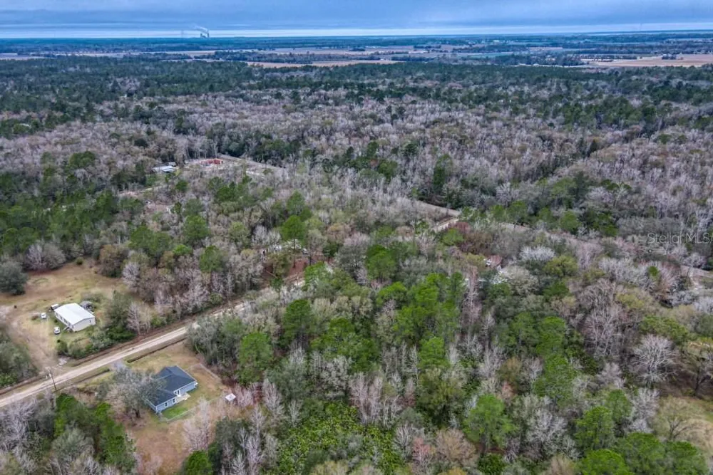 10230 WEATHERBY AVENUE Hastings, FL 32145