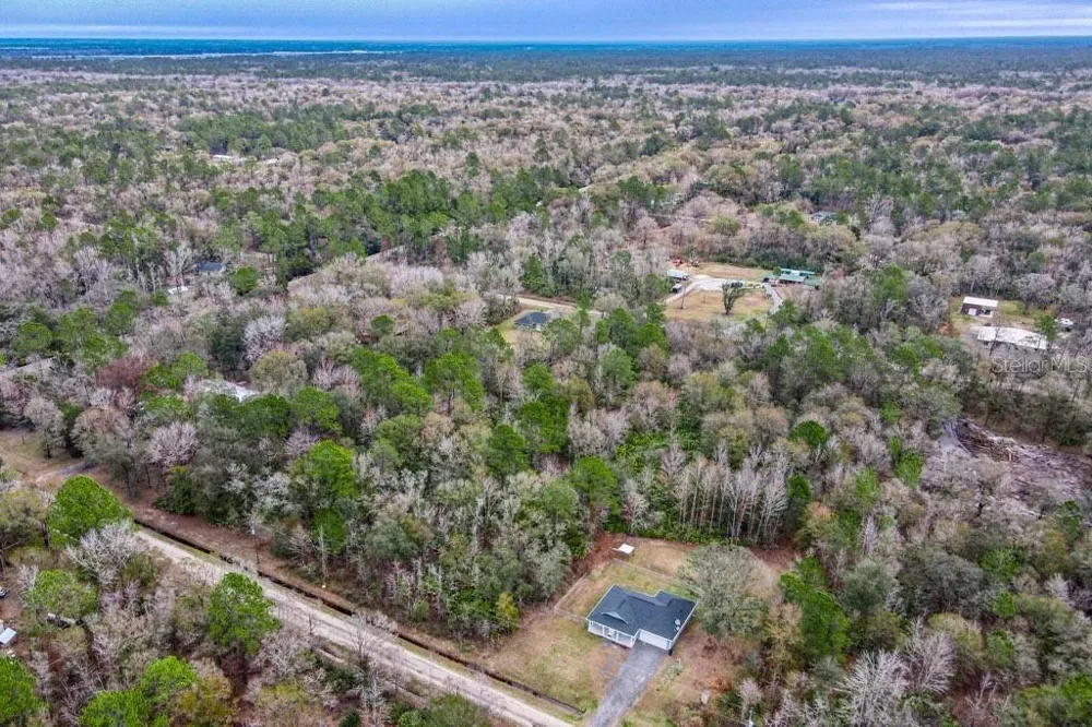 10230 WEATHERBY AVENUE Hastings, FL 32145