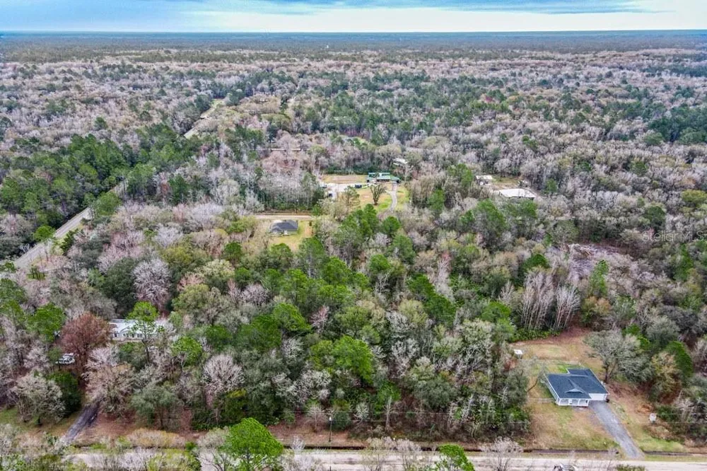 10230 WEATHERBY AVENUE Hastings, FL 32145