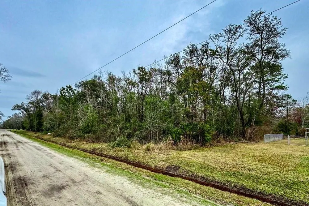 10230 WEATHERBY AVENUE Hastings, FL 32145