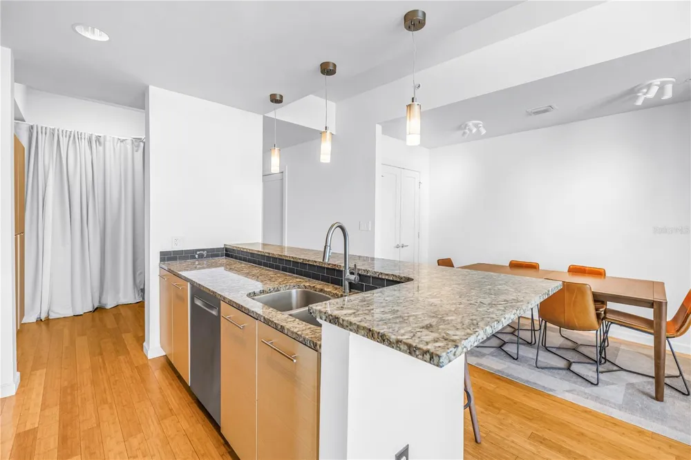400 4TH AVENUE S #701 St Petersburg, FL 33701