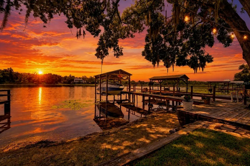 303 W CHAPMAN ROAD Lutz, FL 33548