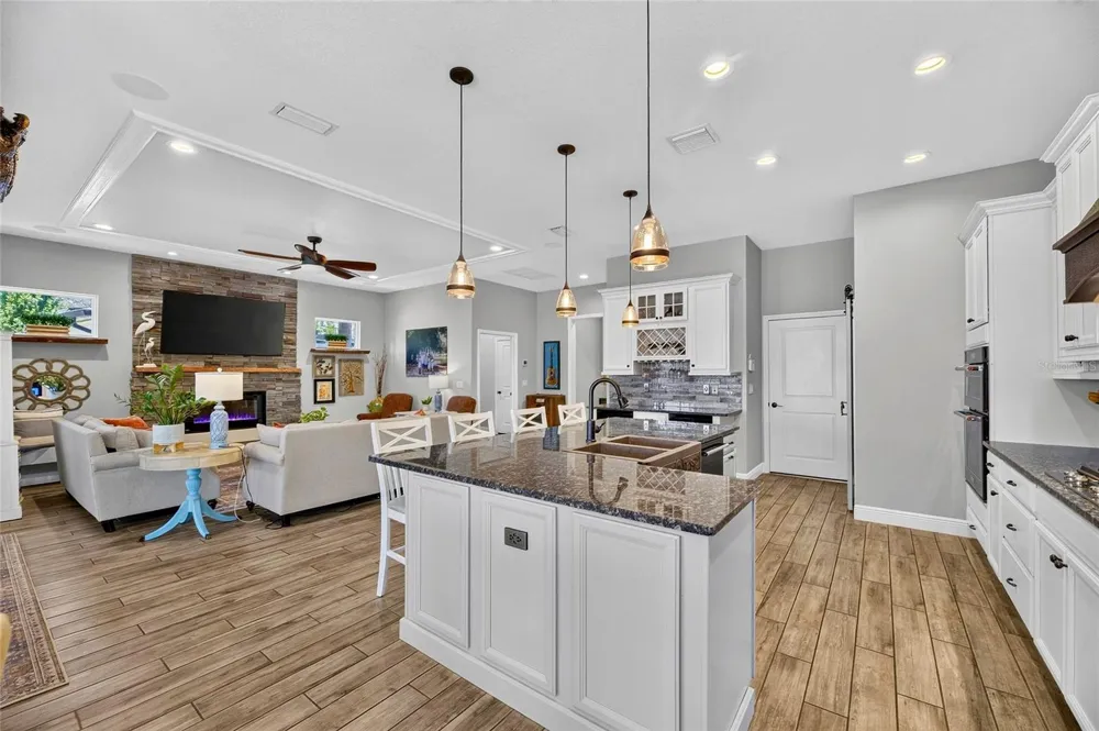 303 W CHAPMAN ROAD Lutz, FL 33548