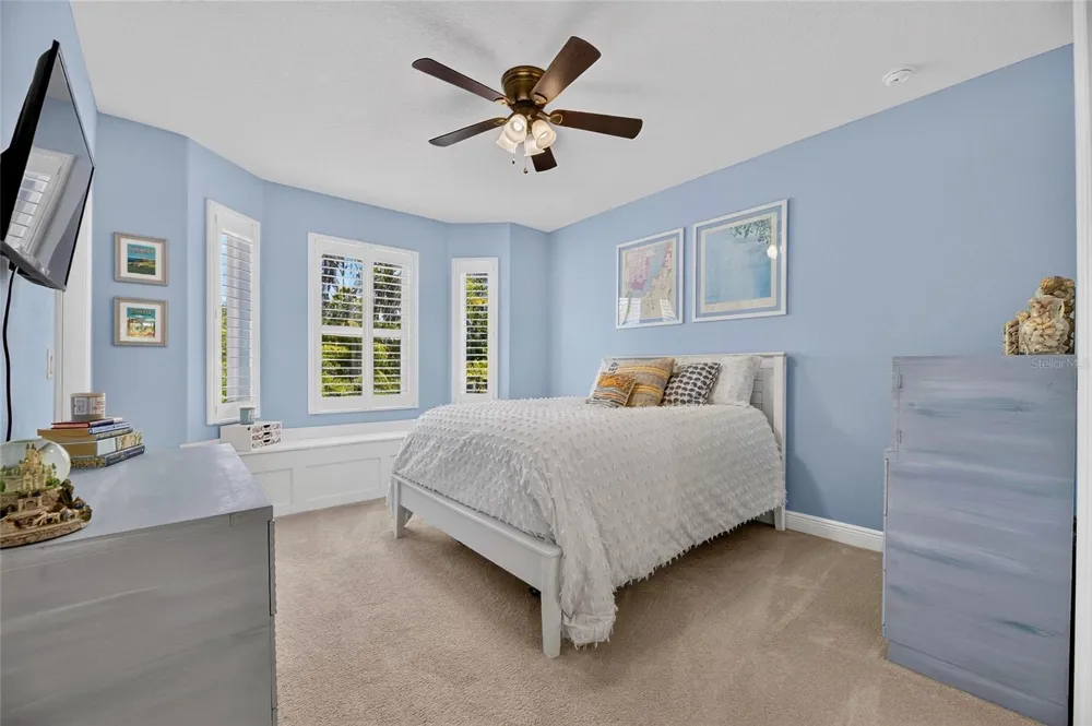 303 W CHAPMAN ROAD Lutz, FL 33548