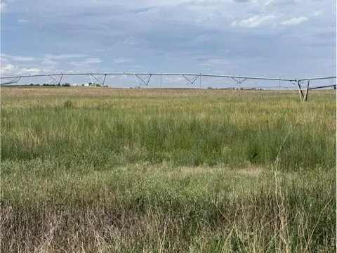0 County Road 63