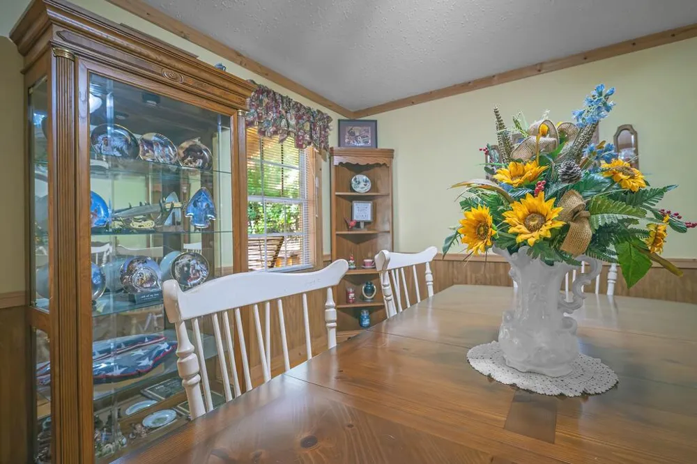 495 Dockery Lane Mineral Bluff, GA 30559