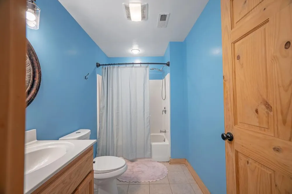495 Dockery Lane Mineral Bluff, GA 30559