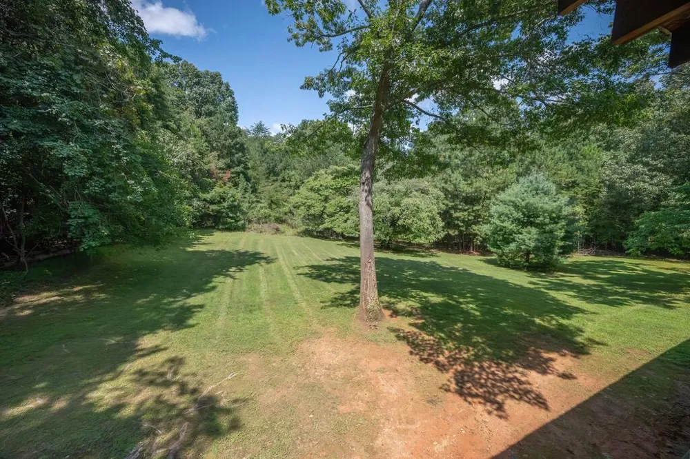 495 Dockery Lane Mineral Bluff, GA 30559