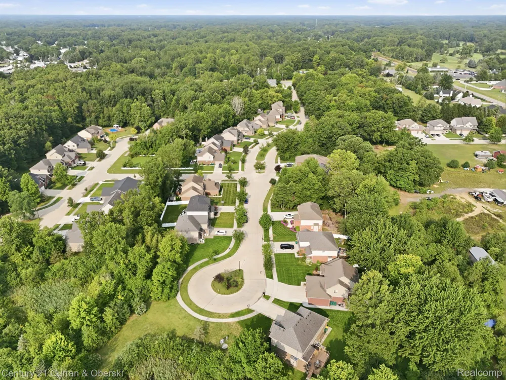 26643 Carly Drive Brownstown Charter Township, MI 48174