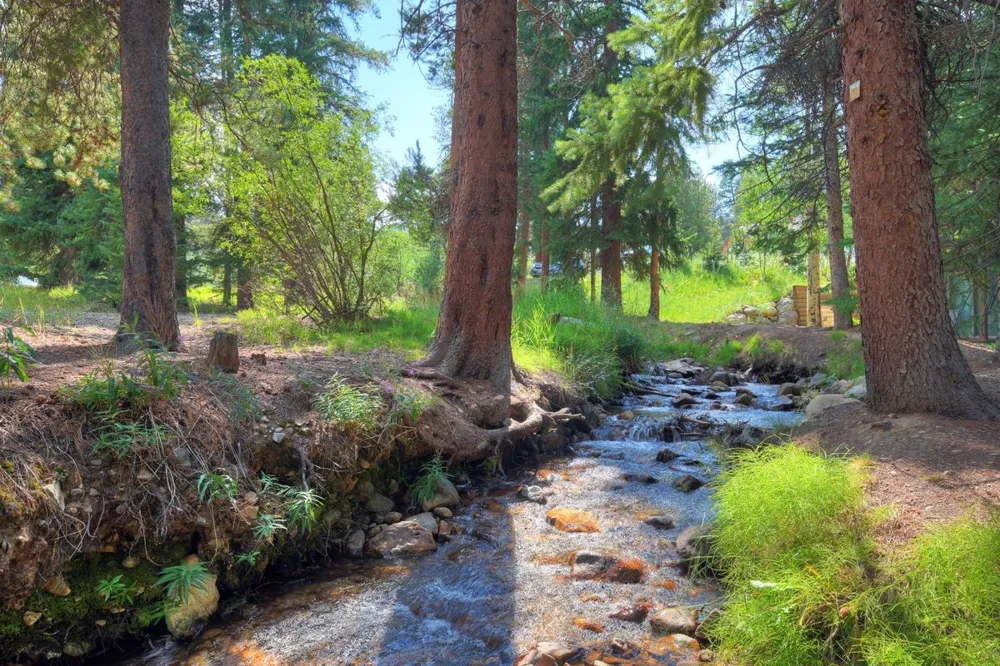 120 Sawmill Road #employee unit Breckenridge, CO 80424