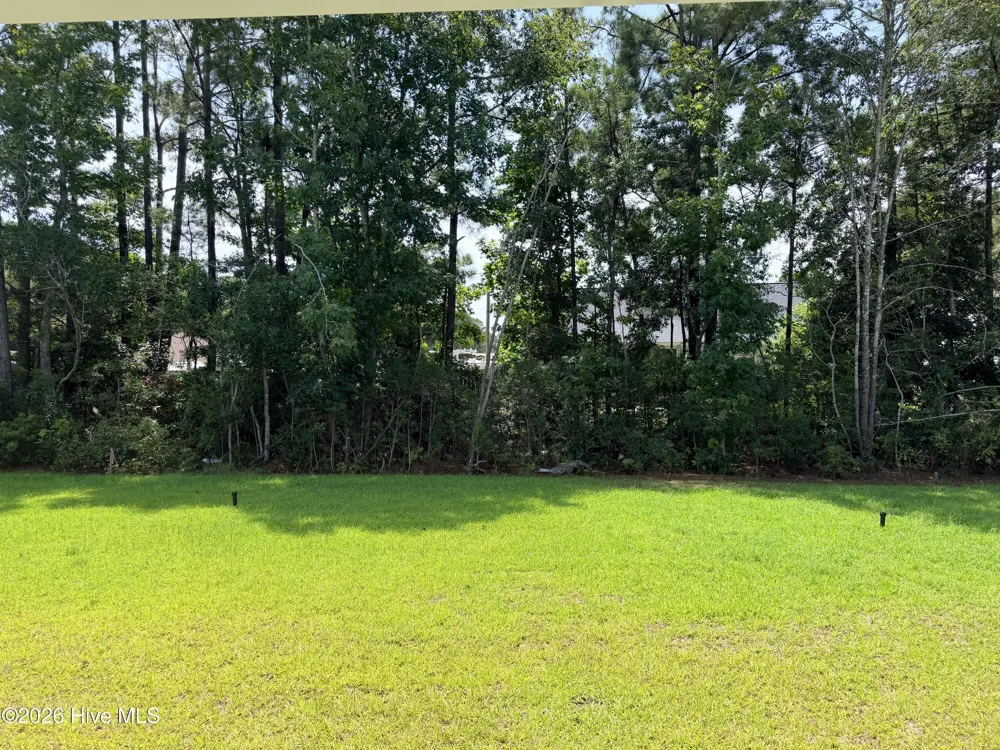 3503 Sandhill Crane Drive SW #Litchfield Il Lot 24 Ocean Isle Beach, NC 28469