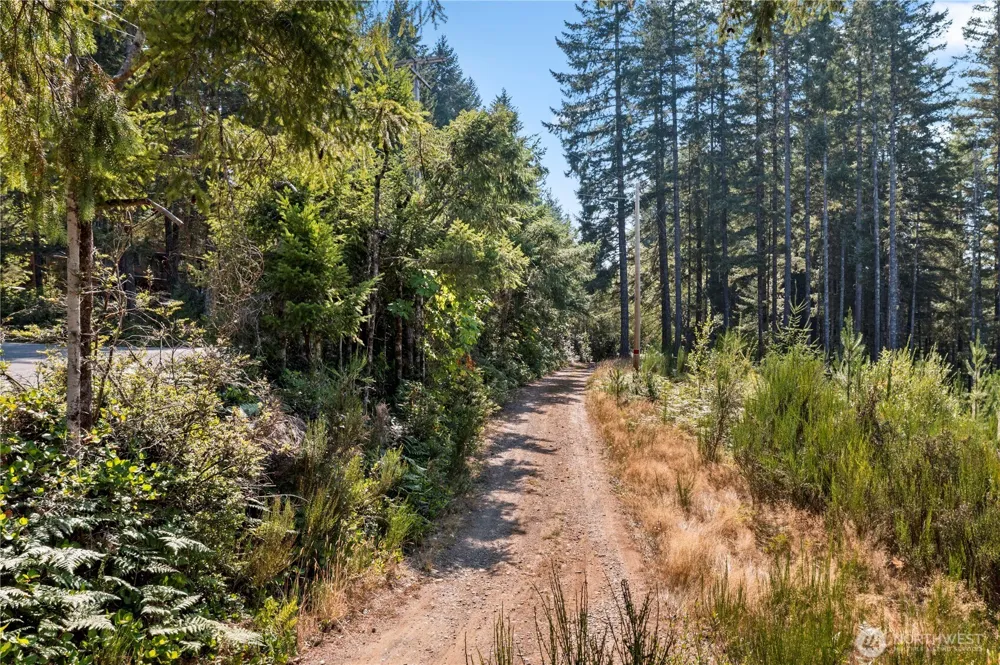 261 NE Circle Drive Tahuya, WA 98588