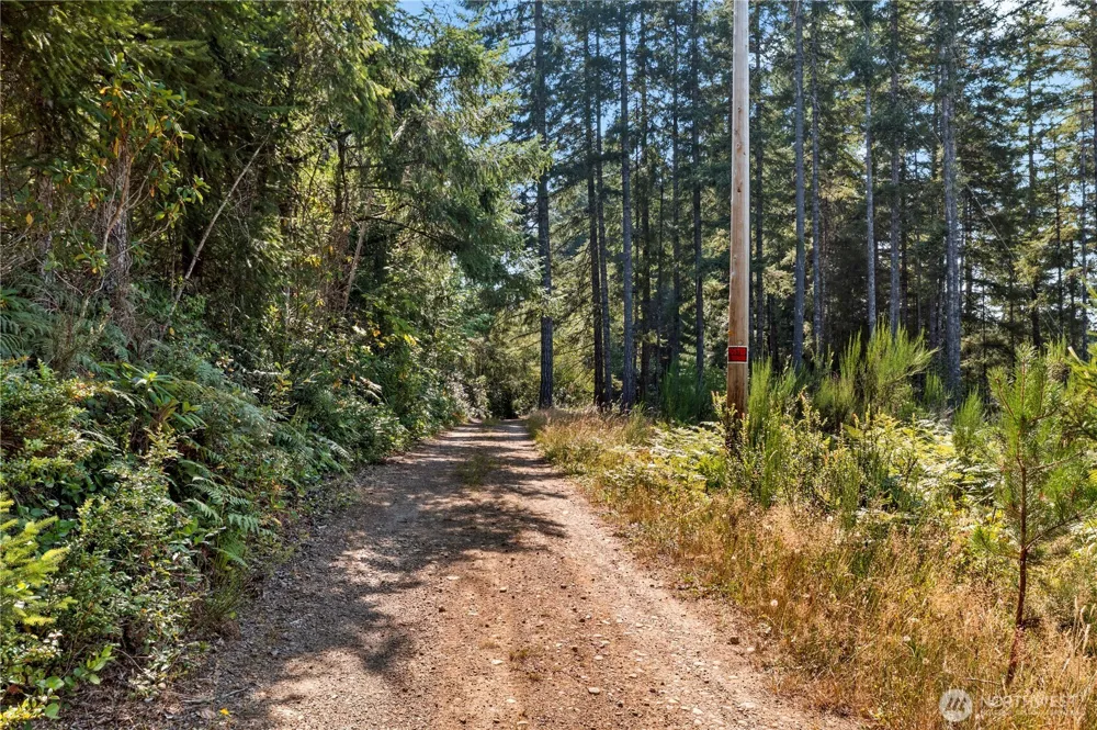 261 NE Circle Drive Tahuya, WA 98588
