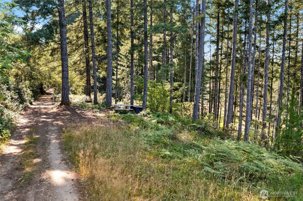 261 NE Circle Drive Tahuya, WA 98588