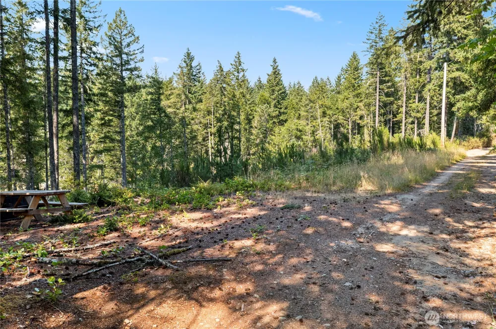 261 NE Circle Drive Tahuya, WA 98588