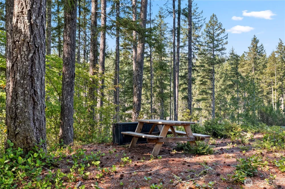 261 NE Circle Drive Tahuya, WA 98588
