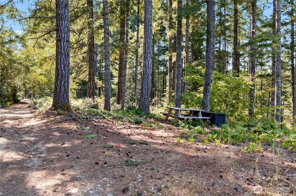 261 NE Circle Drive Tahuya, WA 98588