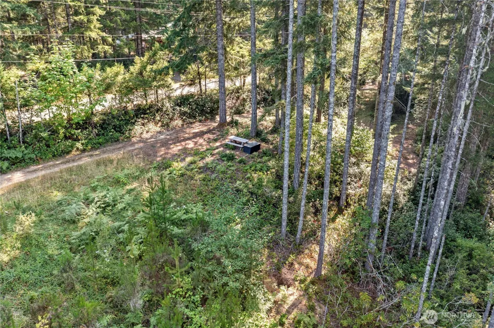 261 NE Circle Drive Tahuya, WA 98588
