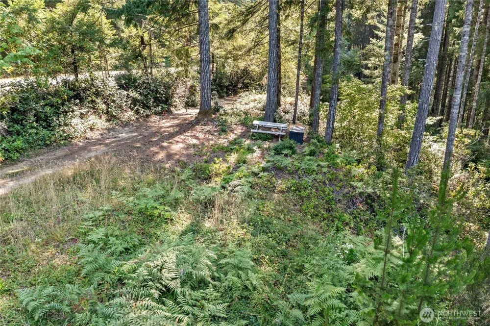 261 NE Circle Drive Tahuya, WA 98588