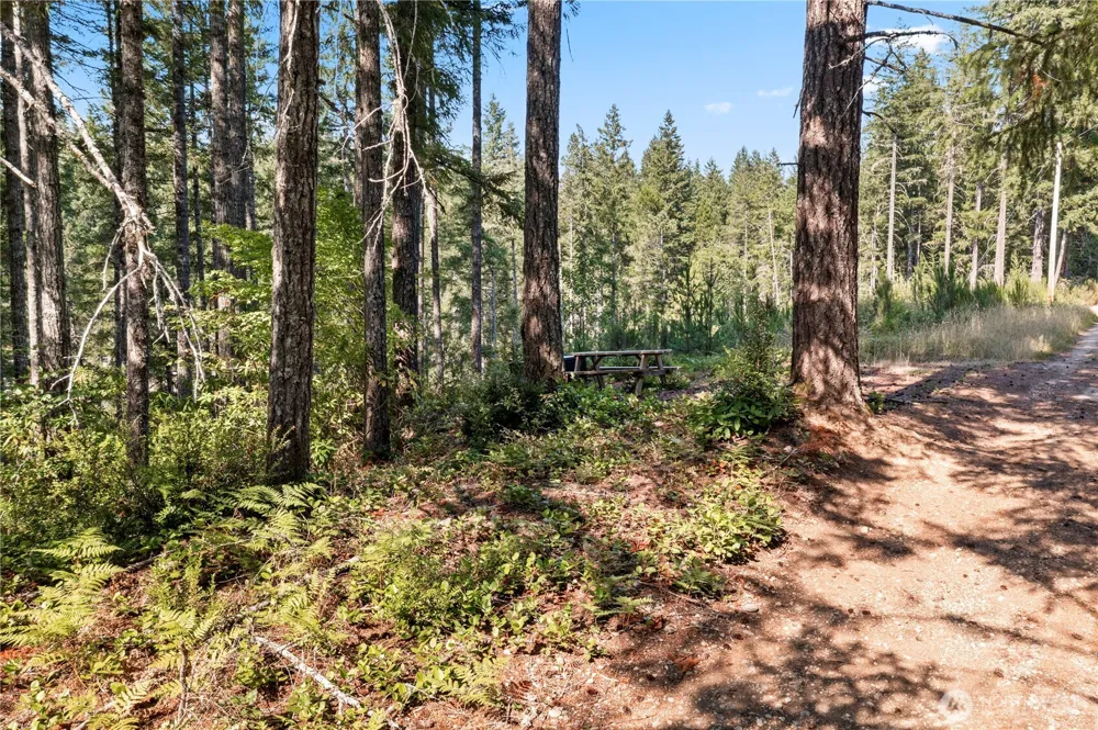 261 NE Circle Drive Tahuya, WA 98588