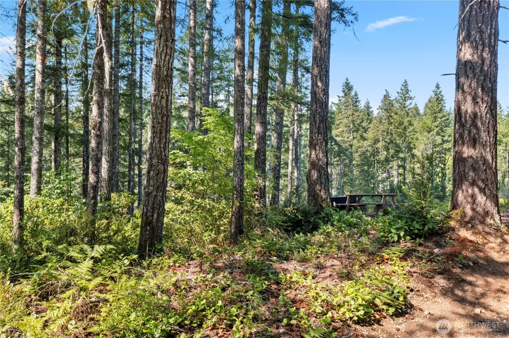261 NE Circle Drive Tahuya, WA 98588