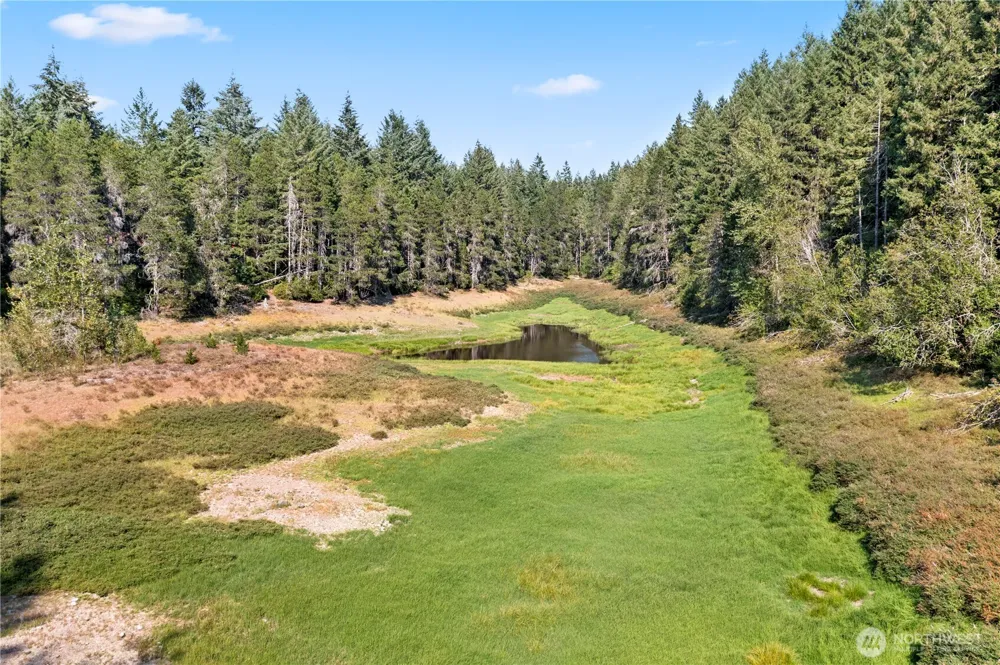 261 NE Circle Drive Tahuya, WA 98588