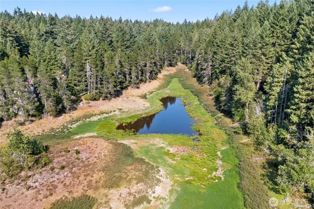 261 NE Circle Drive Tahuya, WA 98588