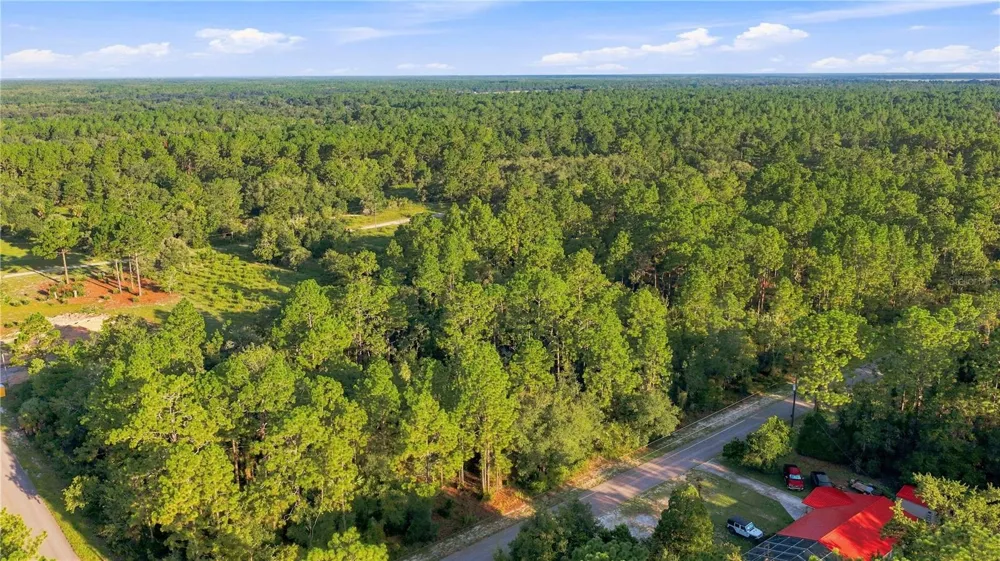 00 SE 133 AVENUE Dunnellon, FL 34431